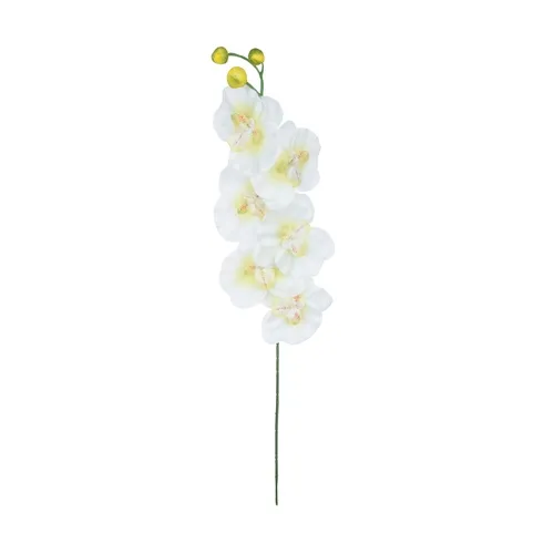 Orchidea – vetvička 63 cm K367